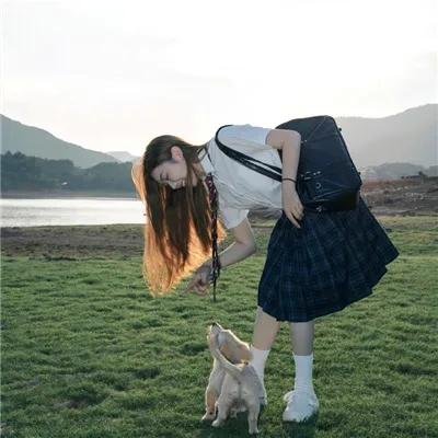 天狼 海报